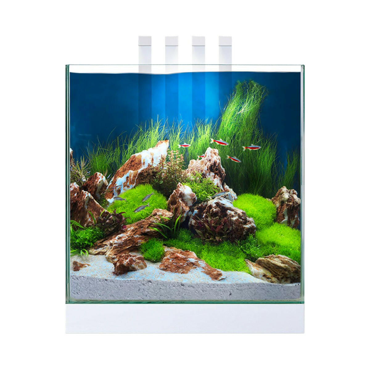 Ciano Nexus Pure 25 Aquarium