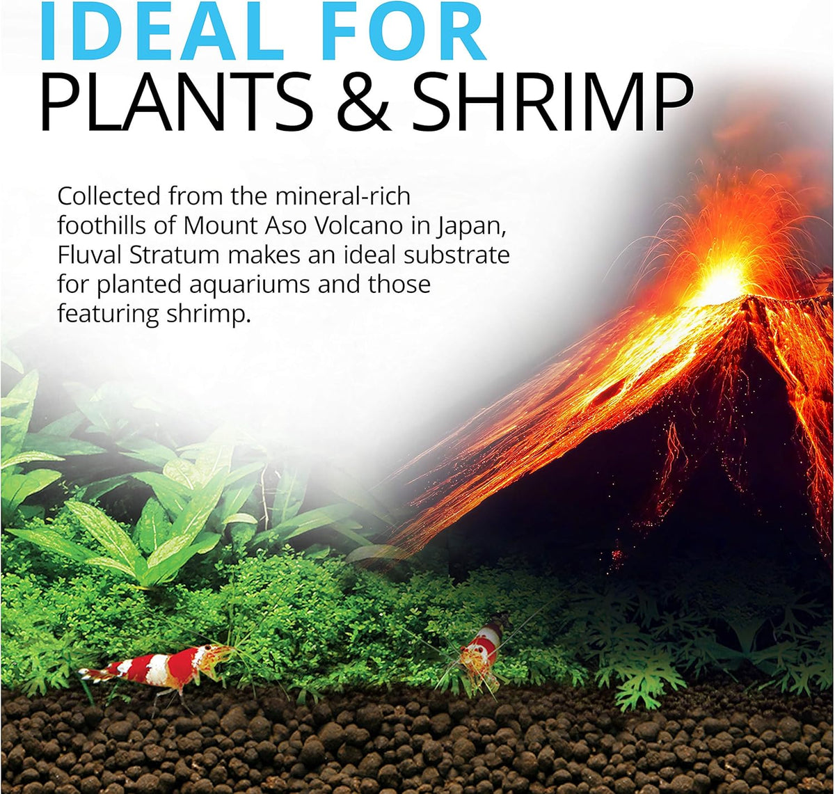 Fluval Volcanic Plant & Shrimp Aquarium Substrate