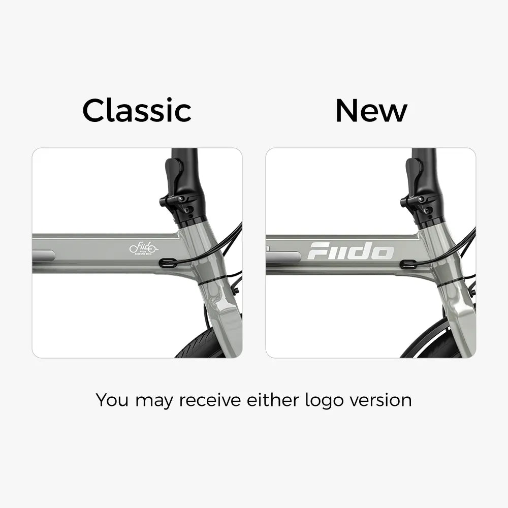 Fiido D11 Folding E-bike