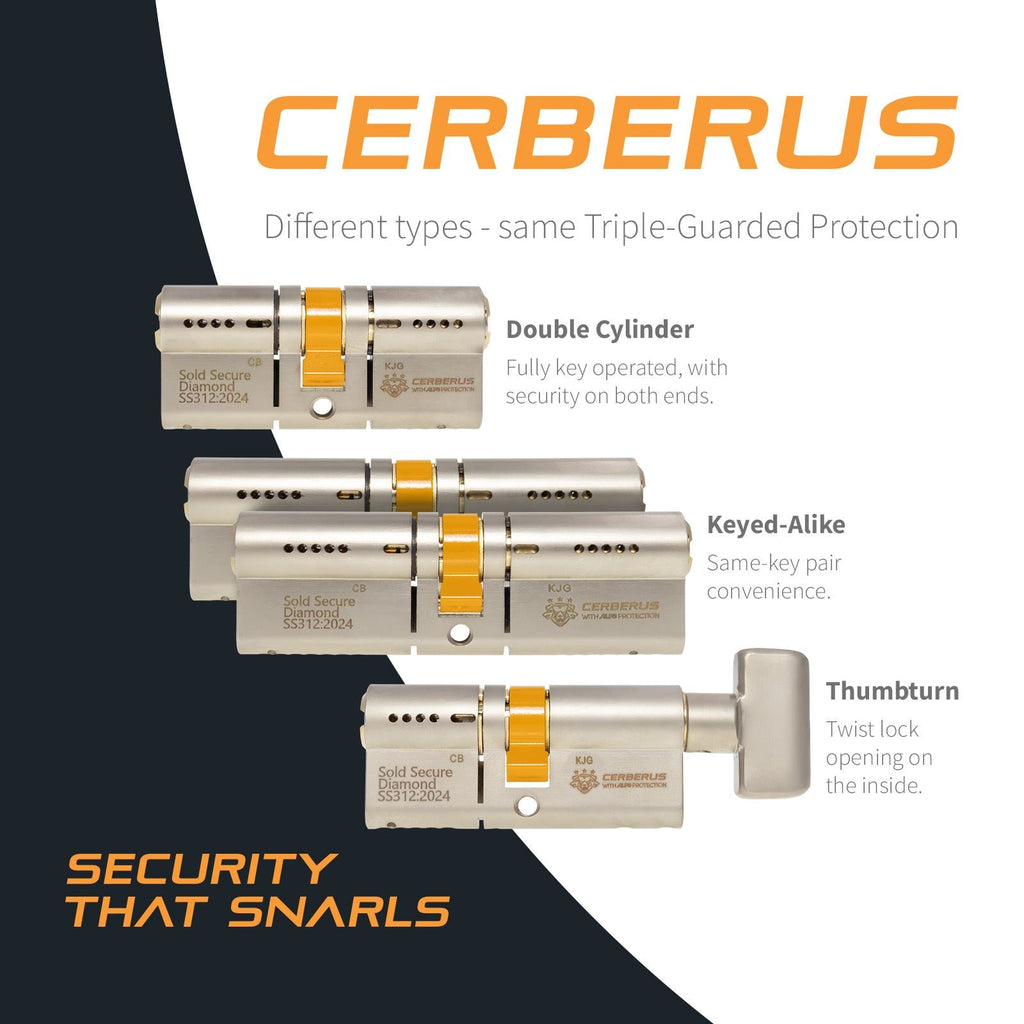CERBERUS TS007 3* Euro Cylinder (Black)
