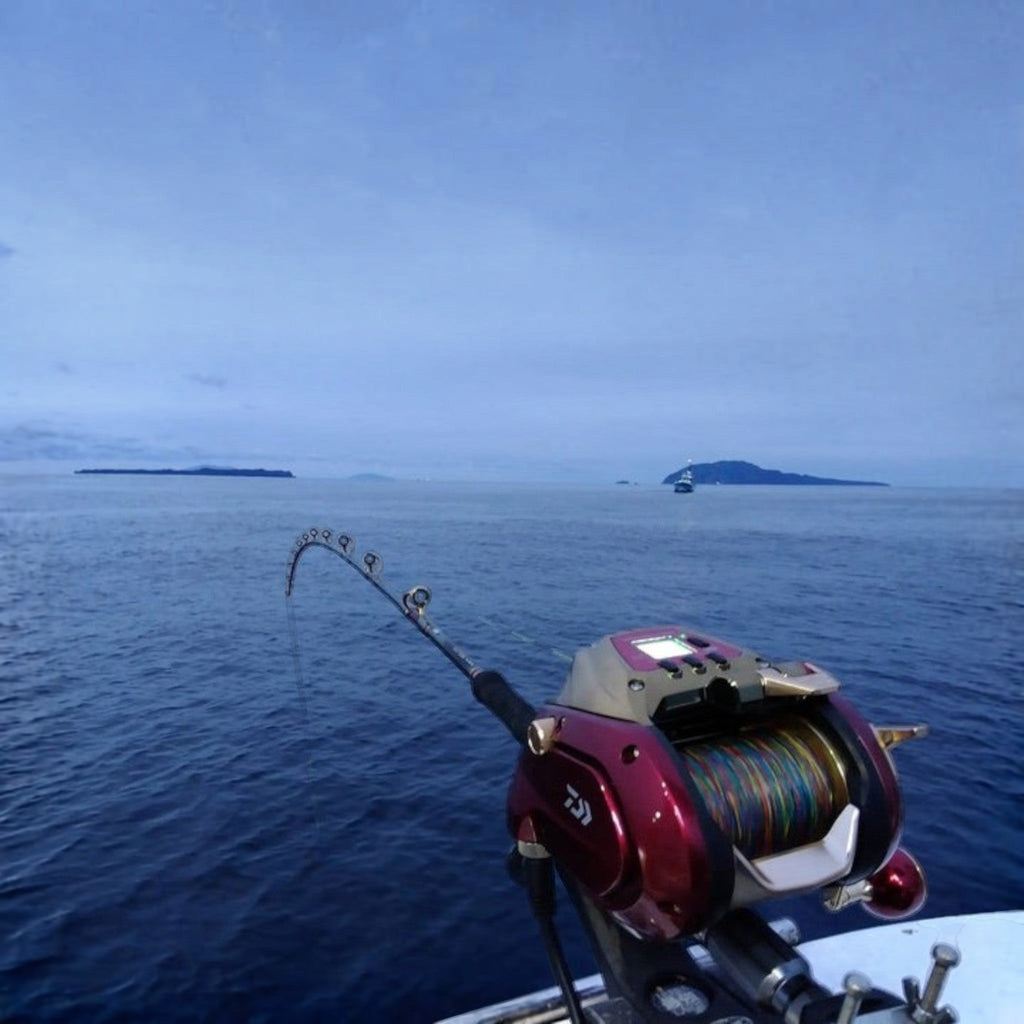 Daiwa 2024 Seaborg 800MJ Electric Reel
