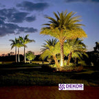 Dekor Spot Gang High Output Landscape Spotlight