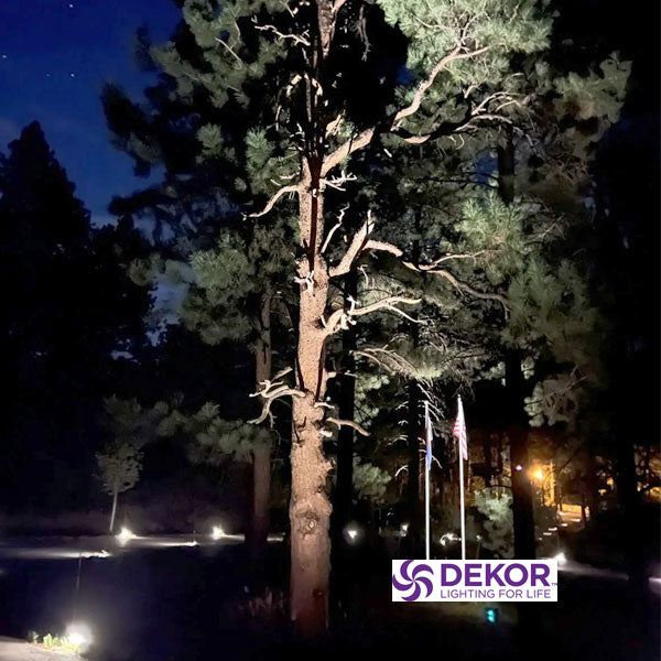 Dekor High Output Landscape Spotlight
