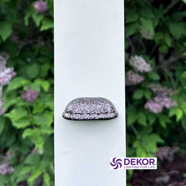Dekor Mini Shelly Rail Light
