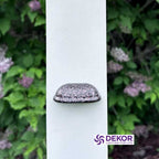 Dekor Mini Shelly Rail Light