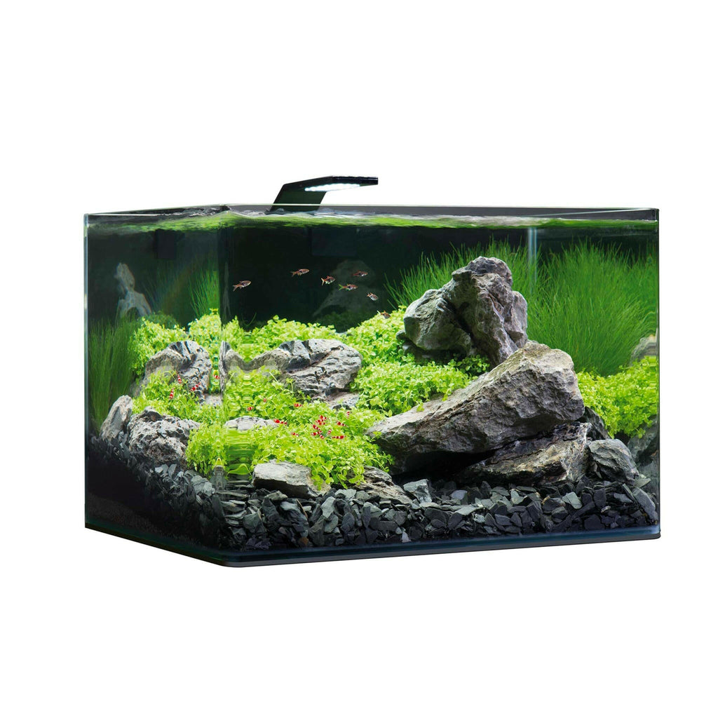 Dennerle Nano Scapers Tank Aquarium 55L