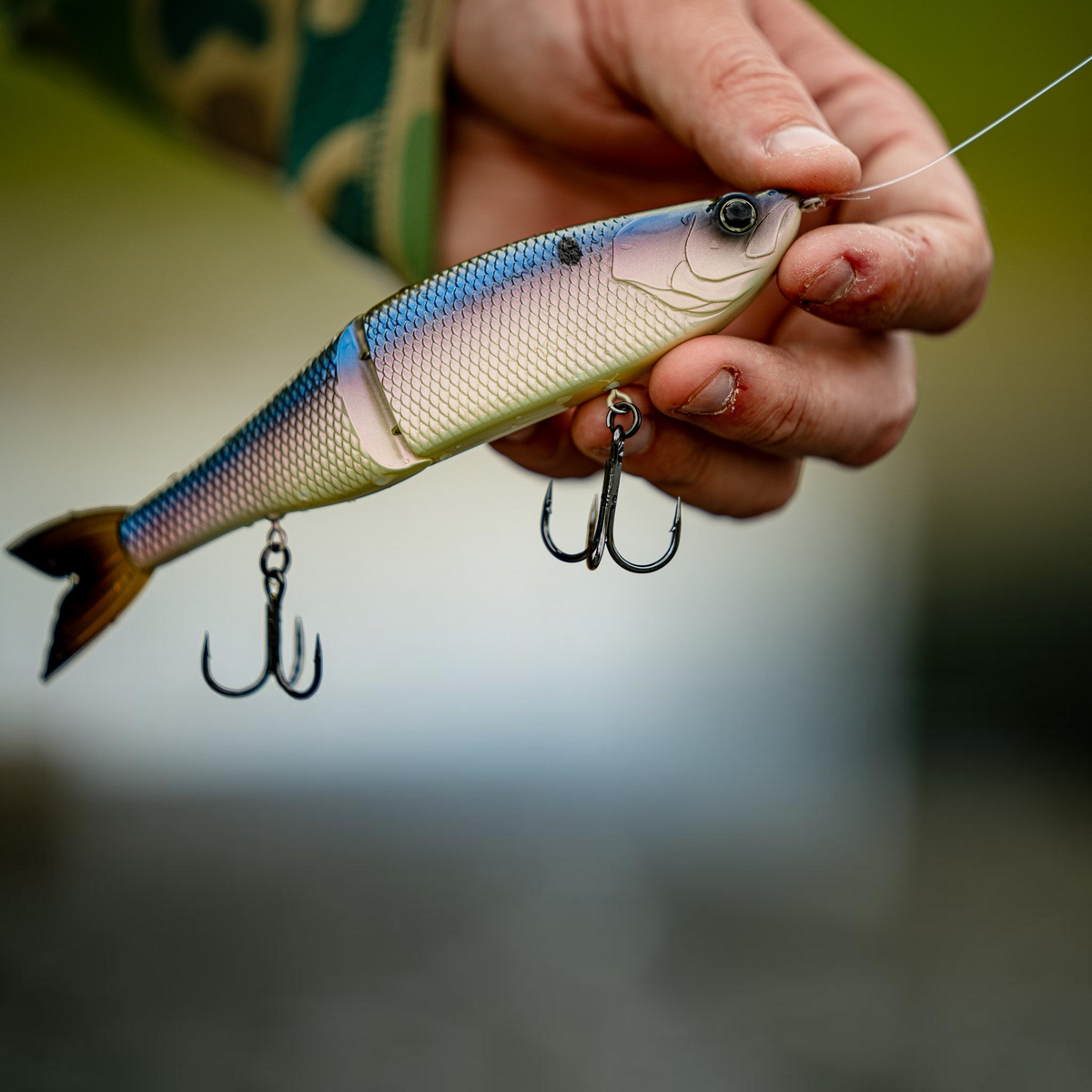 6th Sense The Draw 6.5 Glide Baits