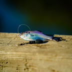 6th Sense Panorama Swimbait Unrigged Series
