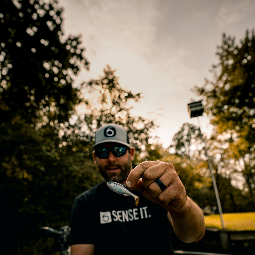 6th Sense Panorama Swimbait Rigged Series