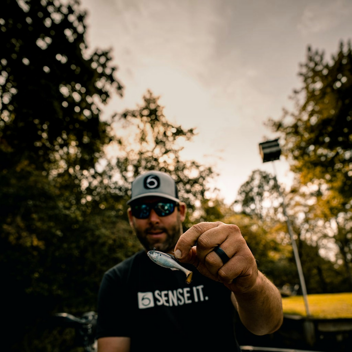 6th Sense Panorama Swimbait Rigged Series