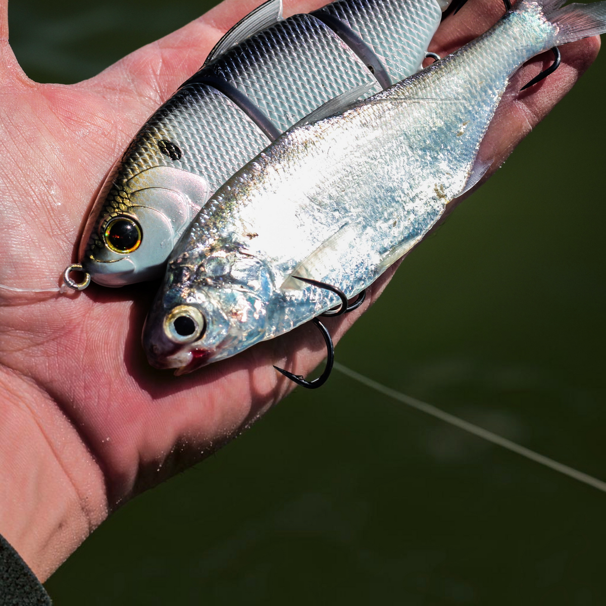 6th Sense Trace 5in Multi Jointed Swimbait
