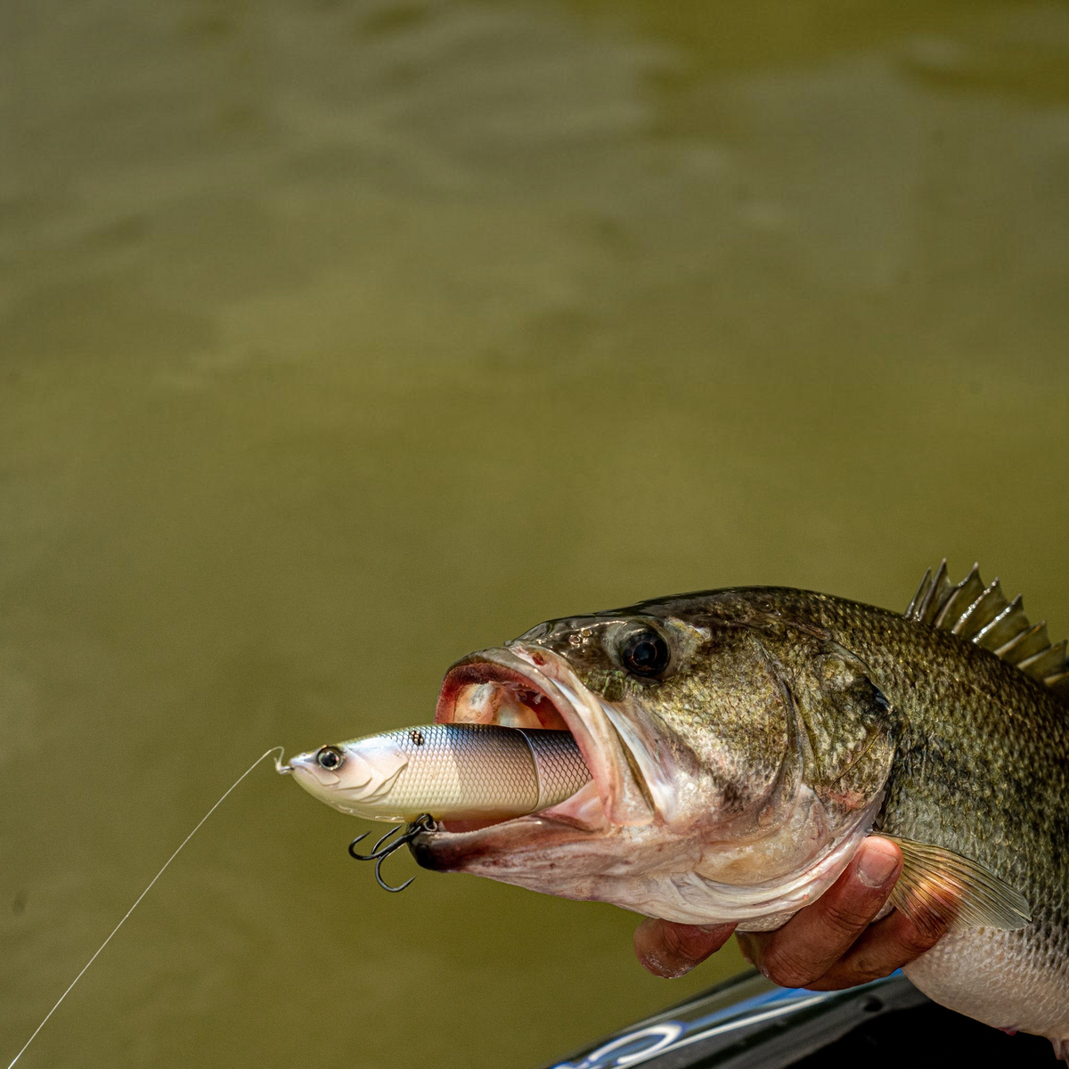 6th Sense The Draw 6.5 Glide Baits