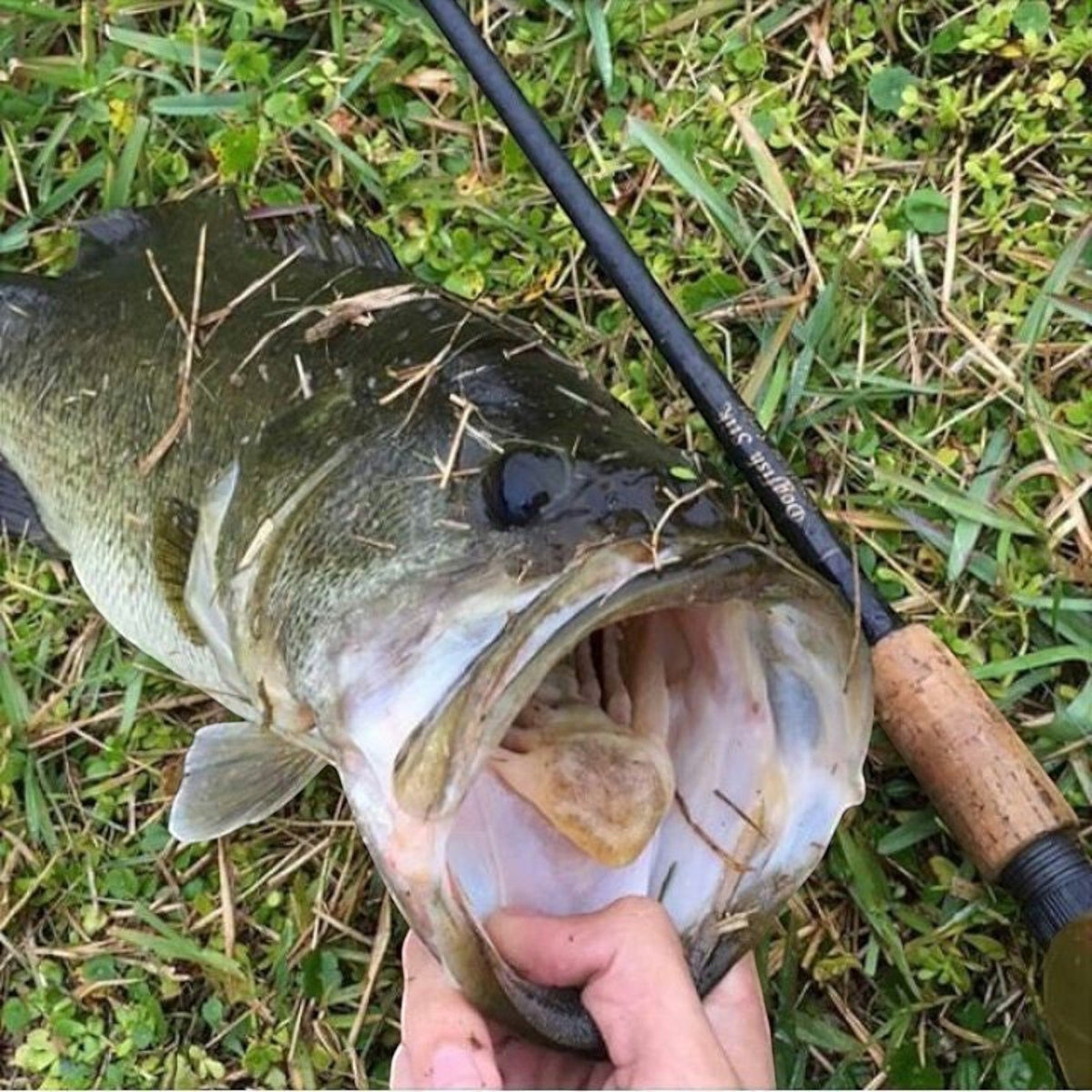 Dogfish Stik Signature Series Graphite Rods