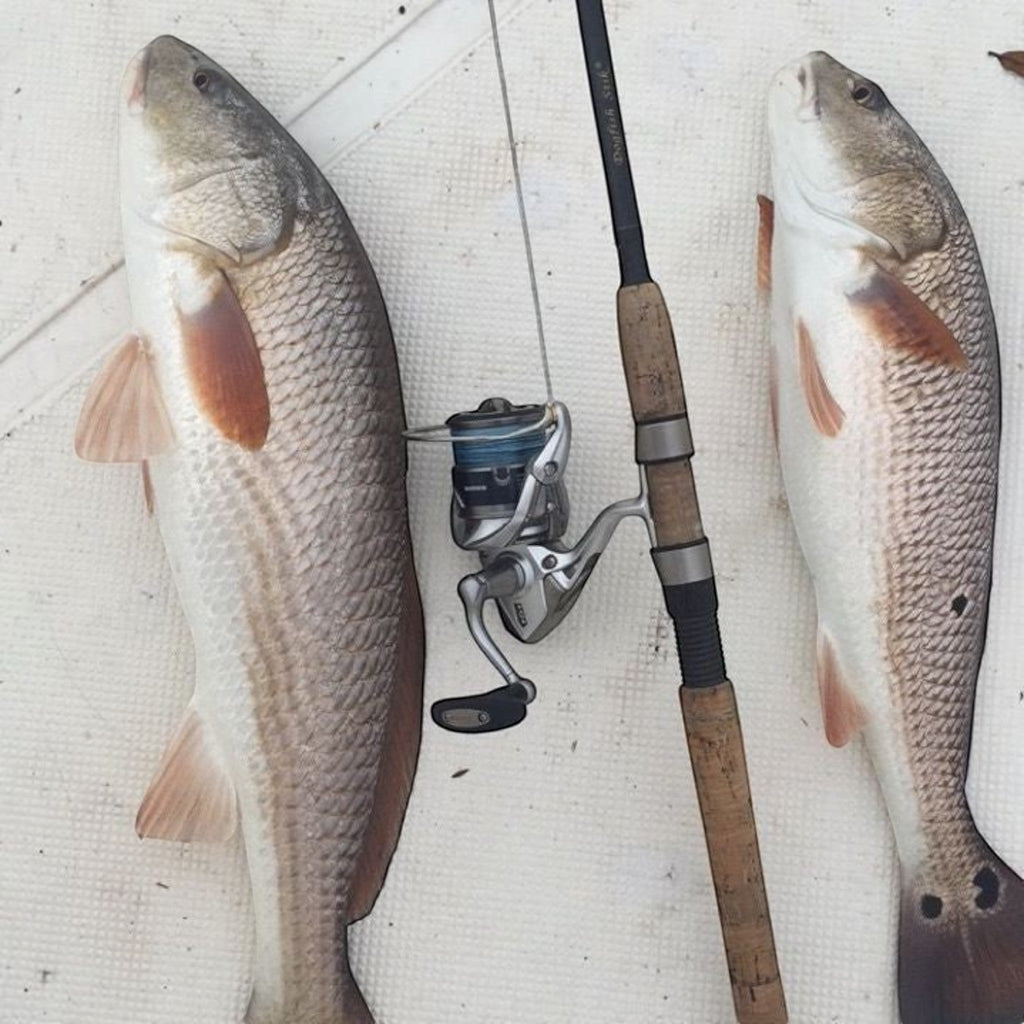 Dogfish Stik Signature Series Graphite Rods