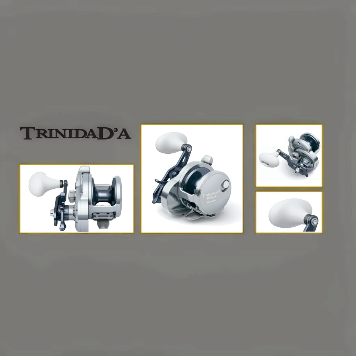 Shimano Trinidad A Star Drag Conventional Reels