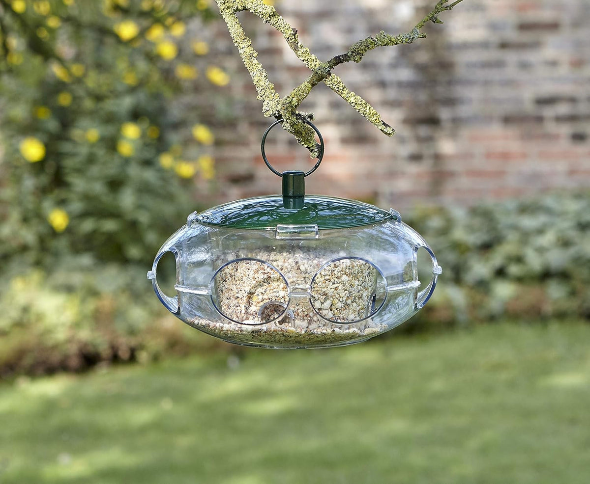 Peckish Small Bird Feeder for Colorful Garden Birds