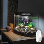 biOrb LOOP 30L Aquarium with MCR LED & 5-Step Filtration