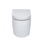 Emme Wall Hung Cloakroom Suite