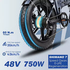 Engwe EP-2 Pro Electric Bike (Grey)