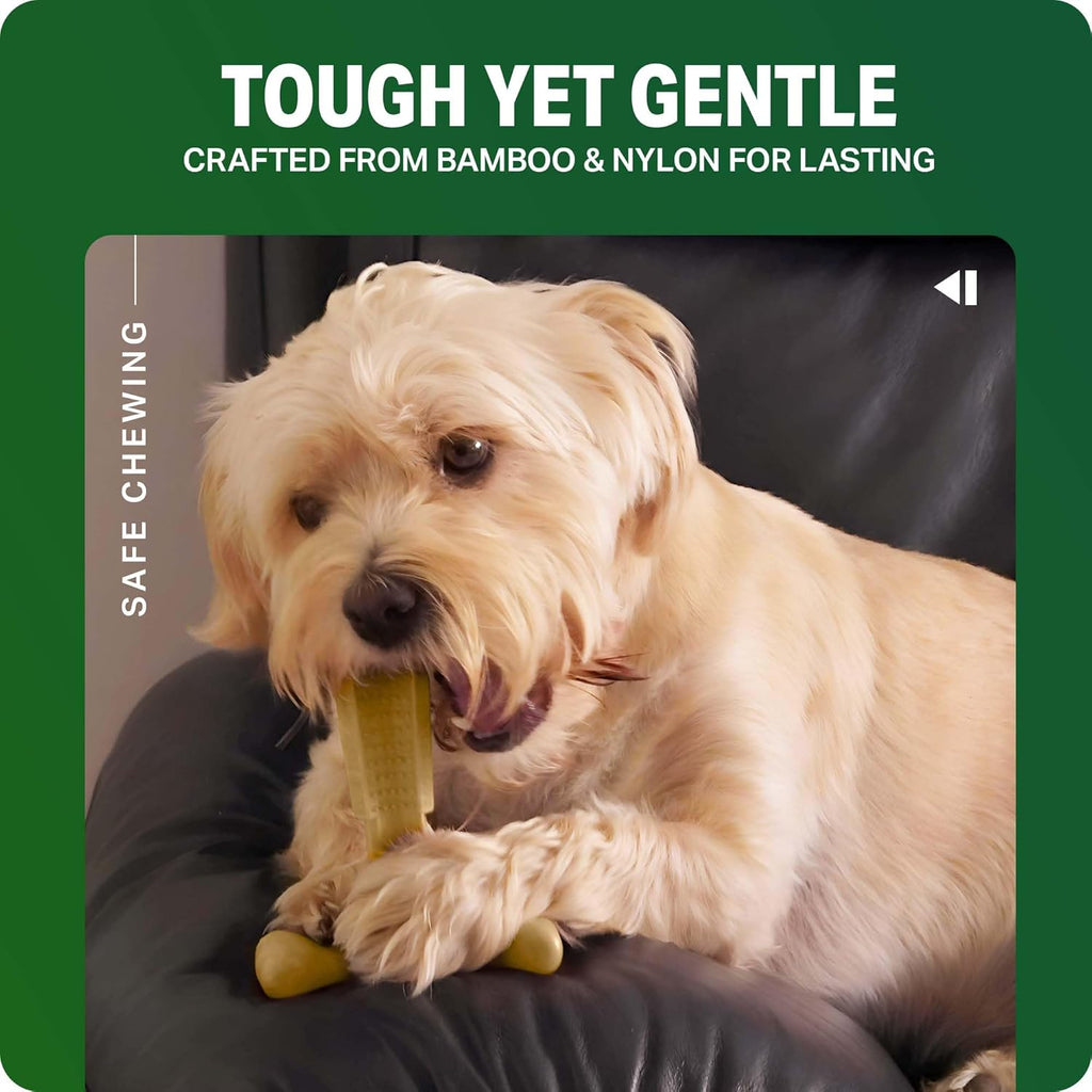 Bamboodles T-Bone Dog Chew Toy – Large Beef Flavour Durable Chew