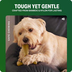 Bamboodles Chew Toys Infusion Medium Cheese