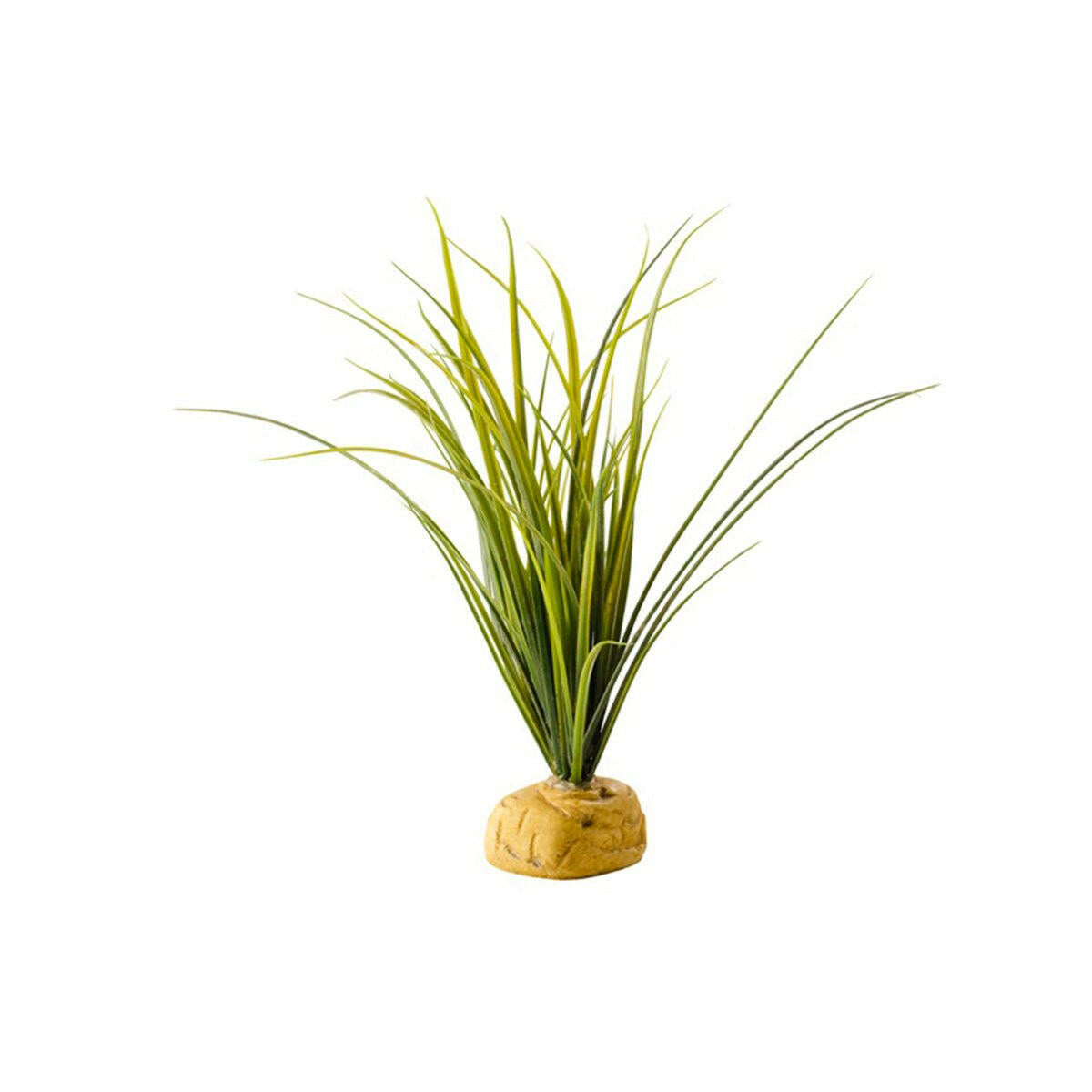 Exo Terra Turtle Grass