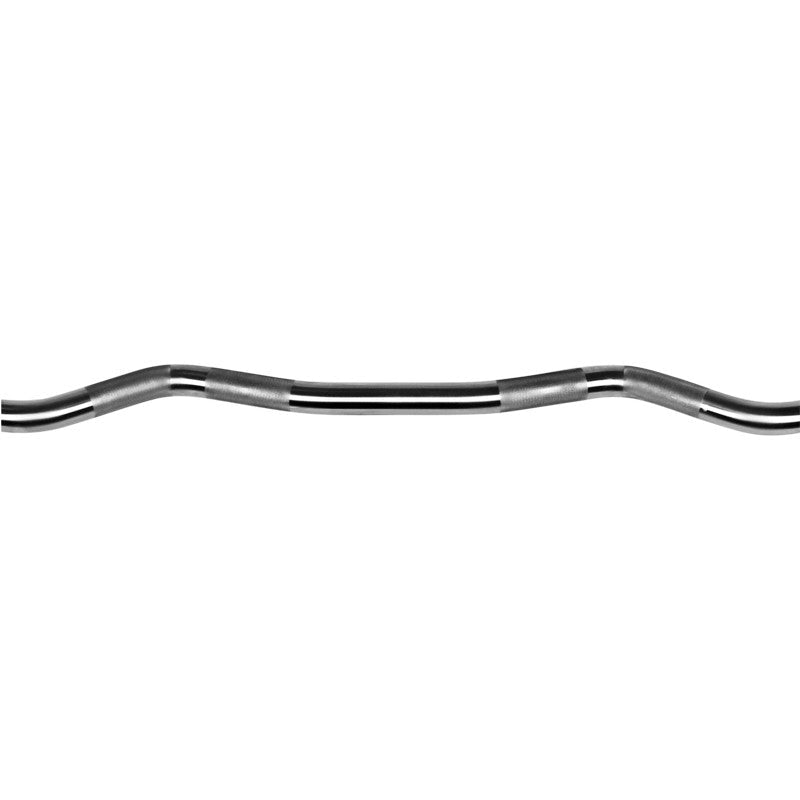 EZ Curl Gym Bar