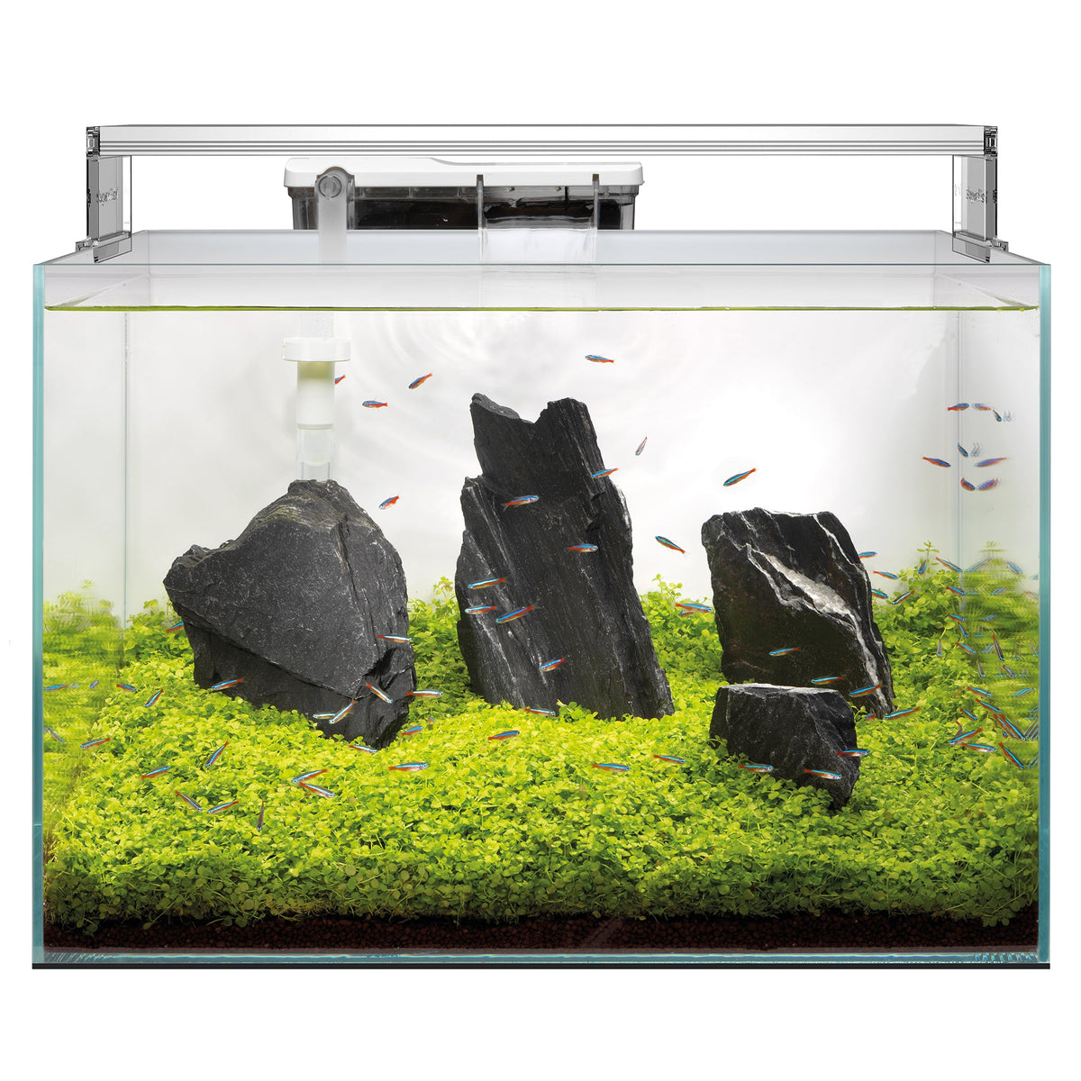 Superfish Scaper 90L Crystal Clear Aquascape Aquarium