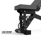 FIDAB-2 Adjustable Bench: Blue