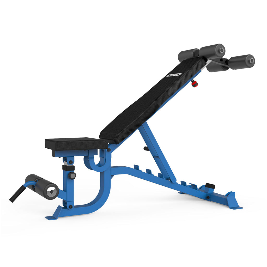 FIDB-300 Bench: Blue (FIDB-300-BLUE)