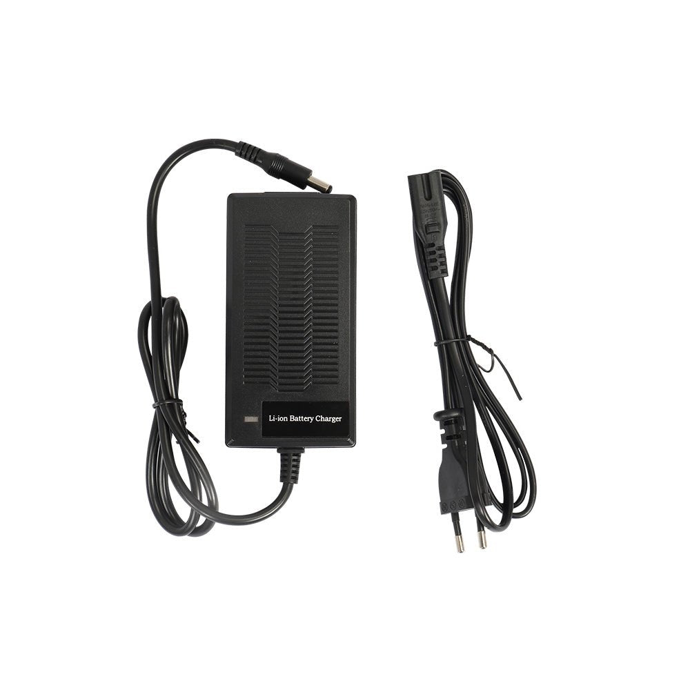 Fiido M1 Pro Charger