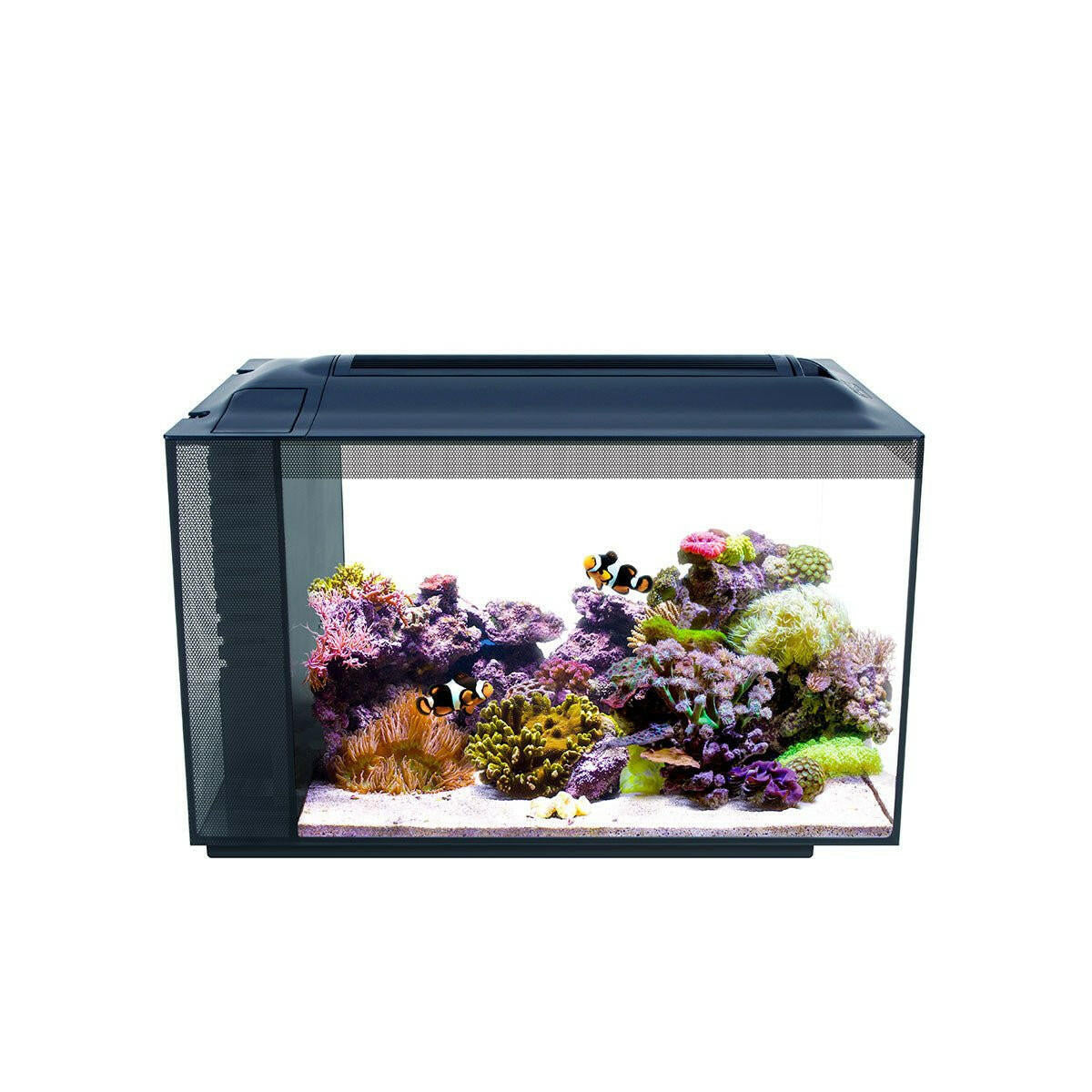 Fluval Sea EVO 52L Aquarium Kit