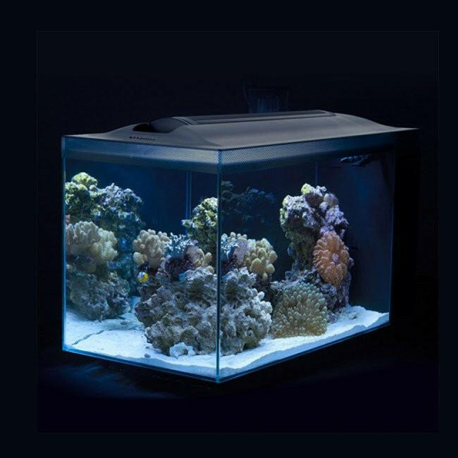 Fluval Sea EVO 52L Aquarium Kit