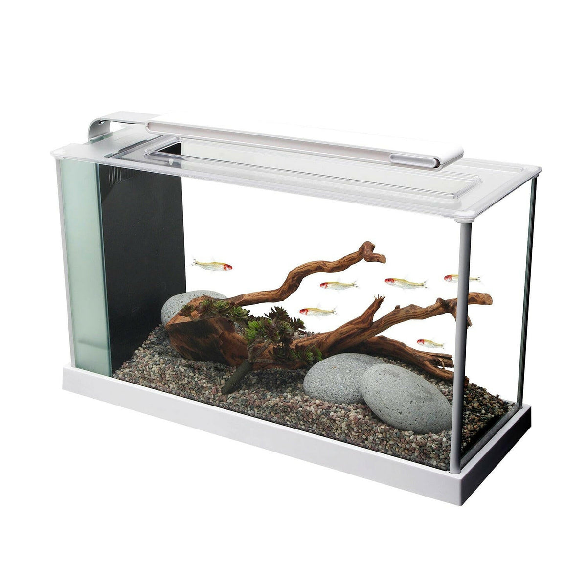 Fluval Spec 19 Litre Aquarium
