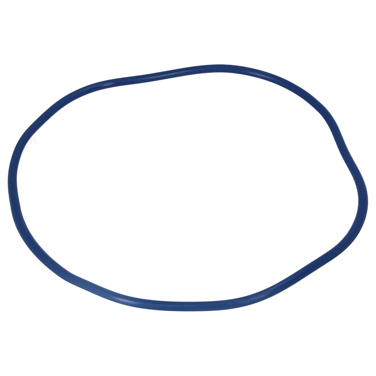 Oase Filtoclear Main Sealing O-Ring 77773