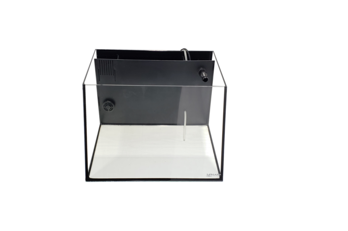Lifegard Full-View 5 Gallon Aquarium with Built-In Back Filter and LED Light