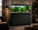 Fluval Roma 240 BT LED Aquarium & Cabinet