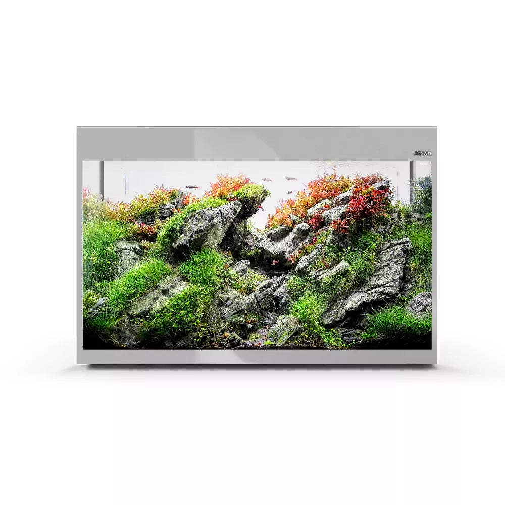 Aquael Glossy 80 D&N Aquarium Grey (1911906)