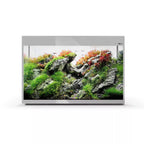 Aquael Glossy 80 D&N Aquarium Grey (1911906)