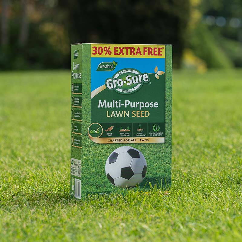 Westland Gro-Sure Multi-Purpose Lawn Seed 13m² + 30% Free Fast Grow