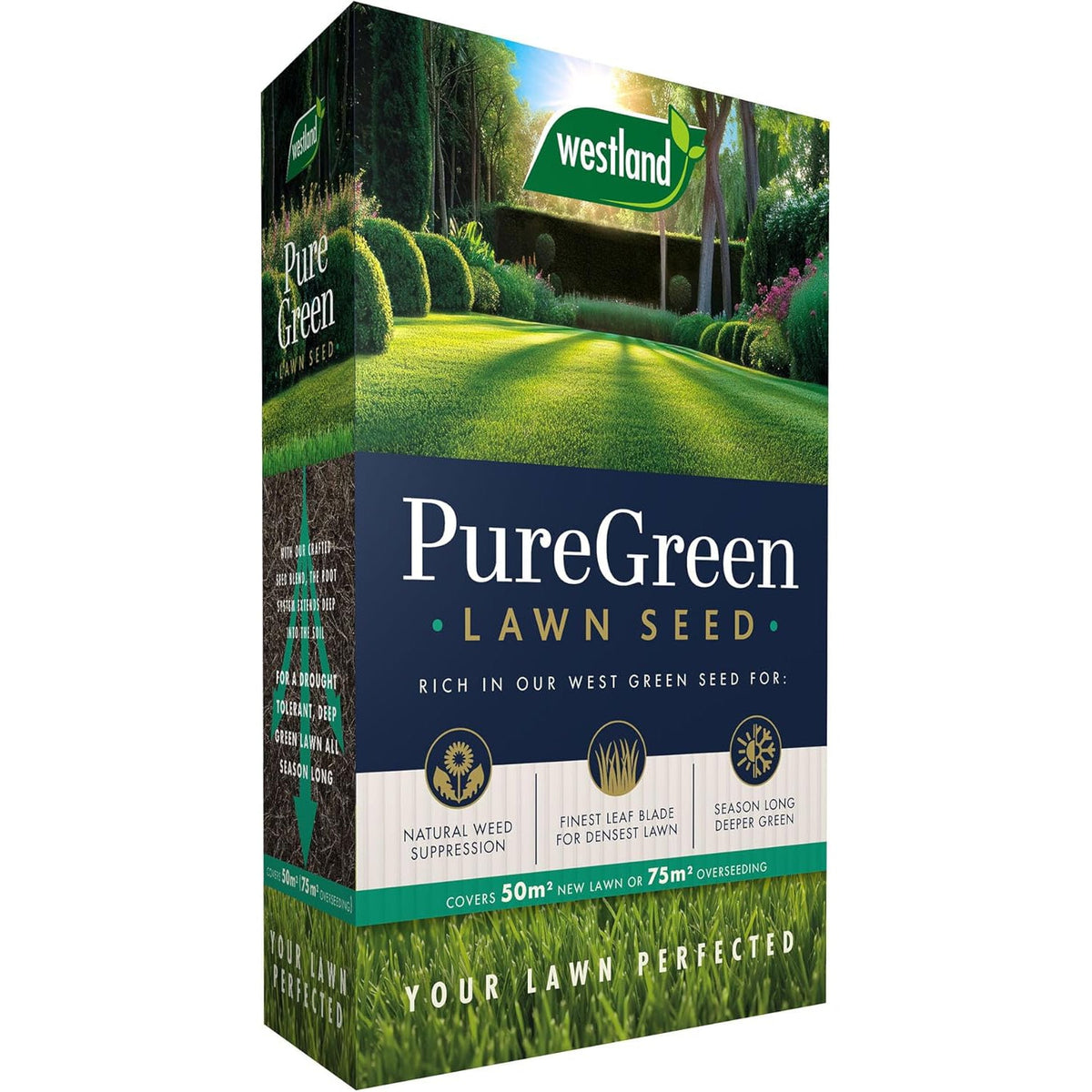 Westland PureGreen Lawn Seed 50m² Dense Green Fine Lawn Mix