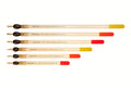 Drennan loaded glow tip carp