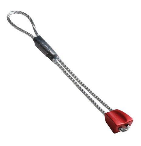 Wallnut 6