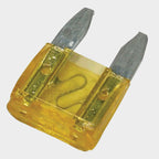 Mixed Mini Blade Fuses, 30 amp - 3 pack