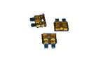 Fuse- 10 Amp