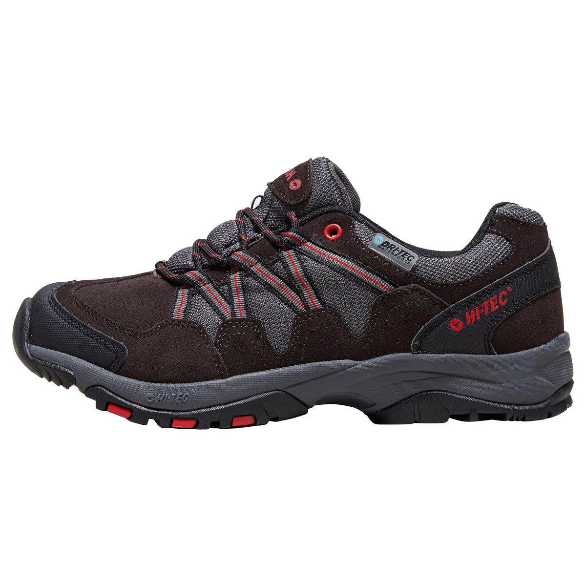 Men's Dexter Waterproof Walking Shoes