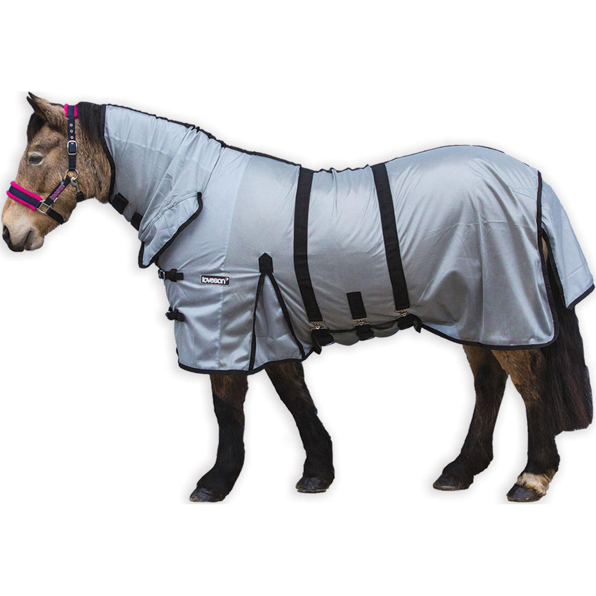Fly Rug