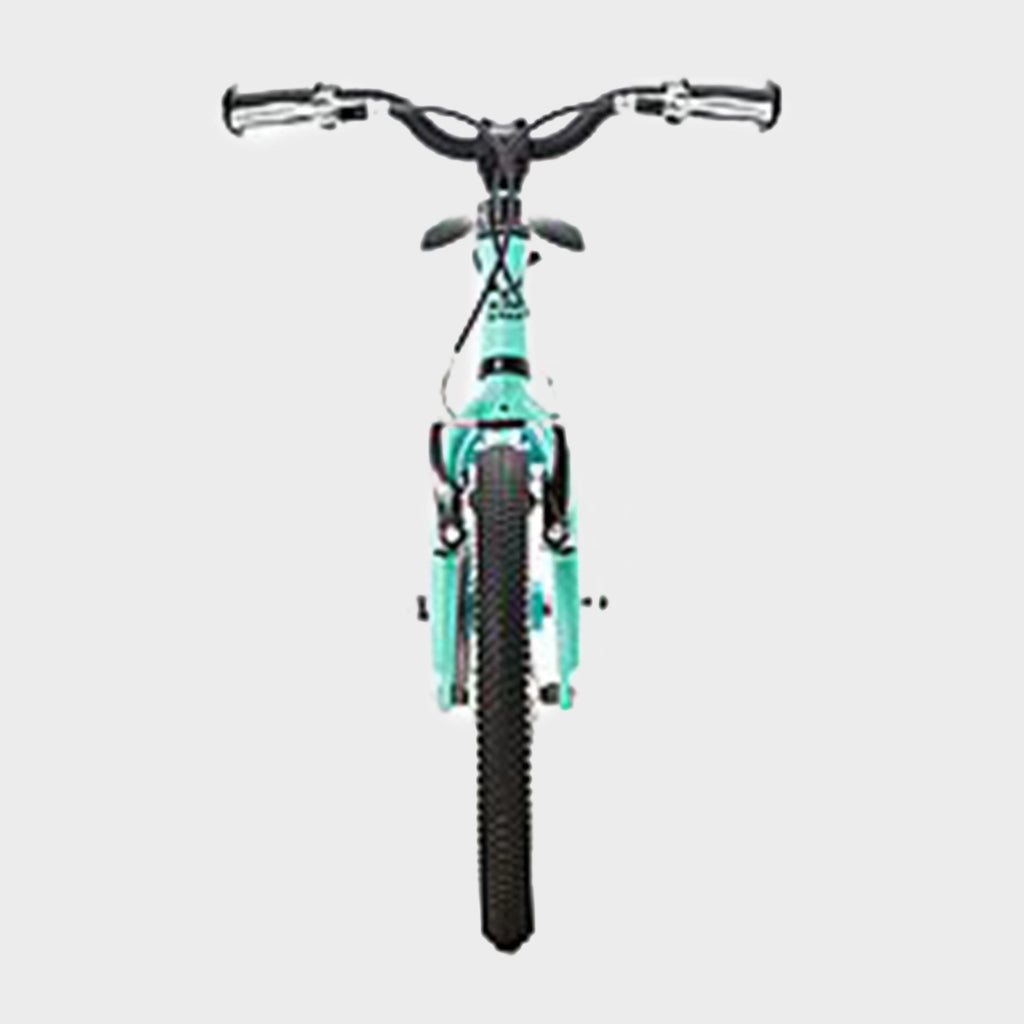 Wild 16 Kids' Bike
