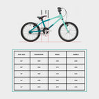 Wild 16 Kids' Bike