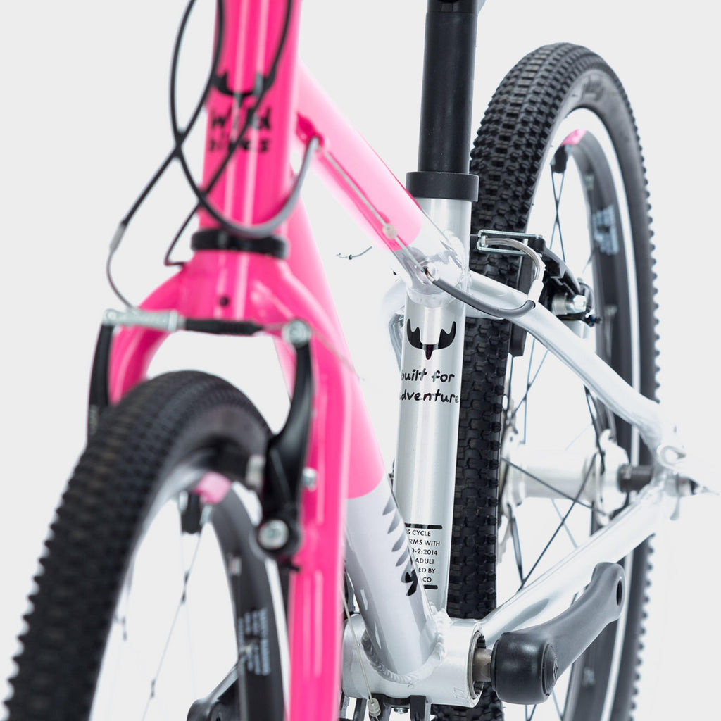 Wild 20 Kids' Bike